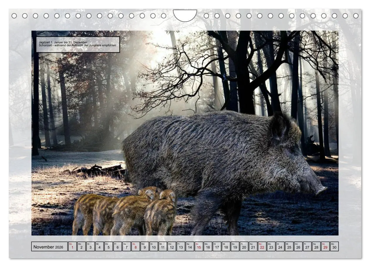 Bild: 9783457375099 | Deutsches Jagdwild - Waidmannsheil (Wandkalender 2026 DIN A4 quer),...