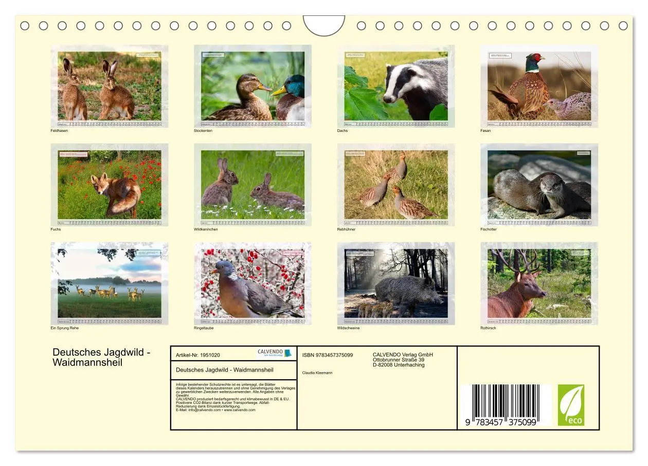 Bild: 9783457375099 | Deutsches Jagdwild - Waidmannsheil (Wandkalender 2026 DIN A4 quer),...