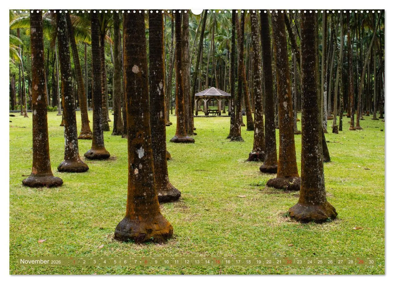 Bild: 9783457755099 | La Réunion - Impressionen von Rolf Dietz (Wandkalender 2026 DIN A2...