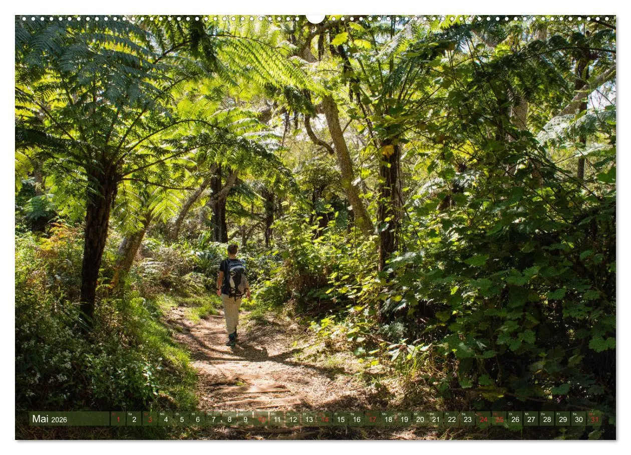 Bild: 9783457755099 | La Réunion - Impressionen von Rolf Dietz (Wandkalender 2026 DIN A2...
