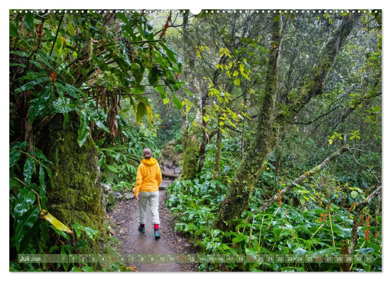 Bild: 9783457755099 | La Réunion - Impressionen von Rolf Dietz (Wandkalender 2026 DIN A2...