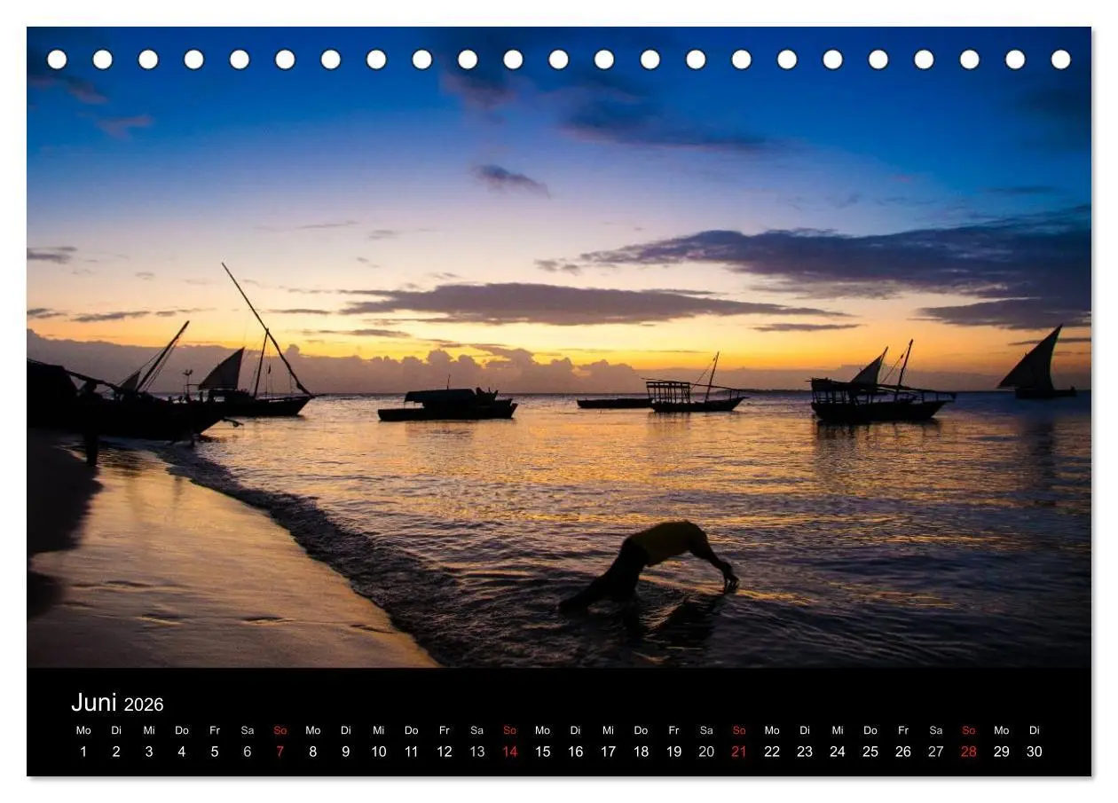 Bild: 9783516155099 | Wildes Afrika (Tischkalender 2026 DIN A5 quer), CALVENDO...