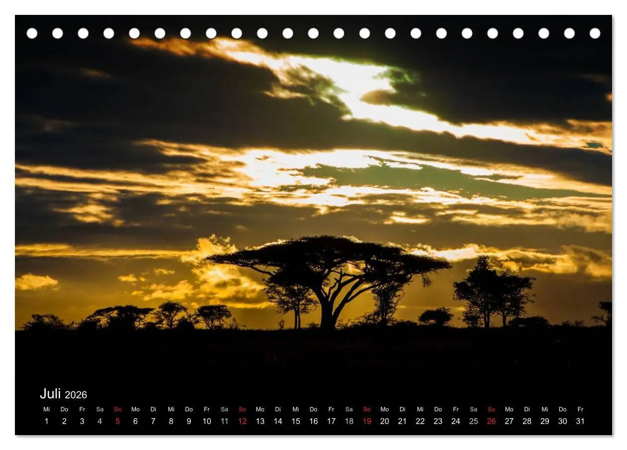 Bild: 9783516155099 | Wildes Afrika (Tischkalender 2026 DIN A5 quer), CALVENDO...