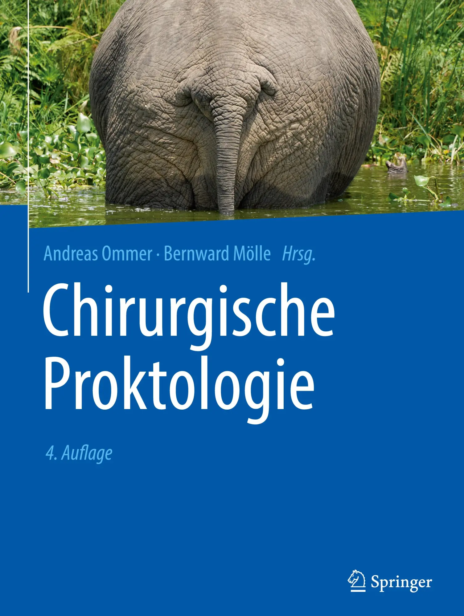 Cover: 9783662685099 | Chirurgische Proktologie | Bernward Mölle (u. a.) | Buch | x | Deutsch