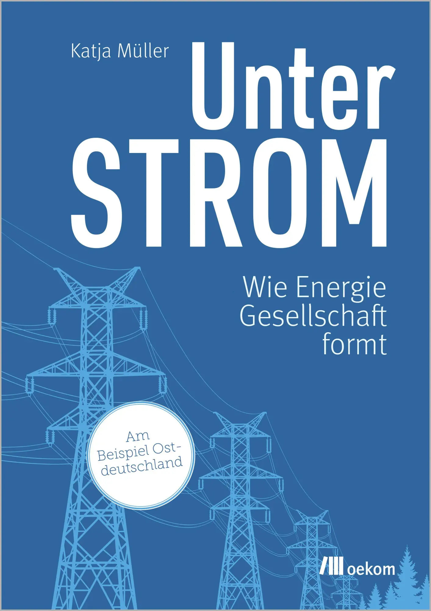 Cover: 9783987265099 | Unter Strom | Wie Energie Gesellschaft formt | Katja Müller | Buch