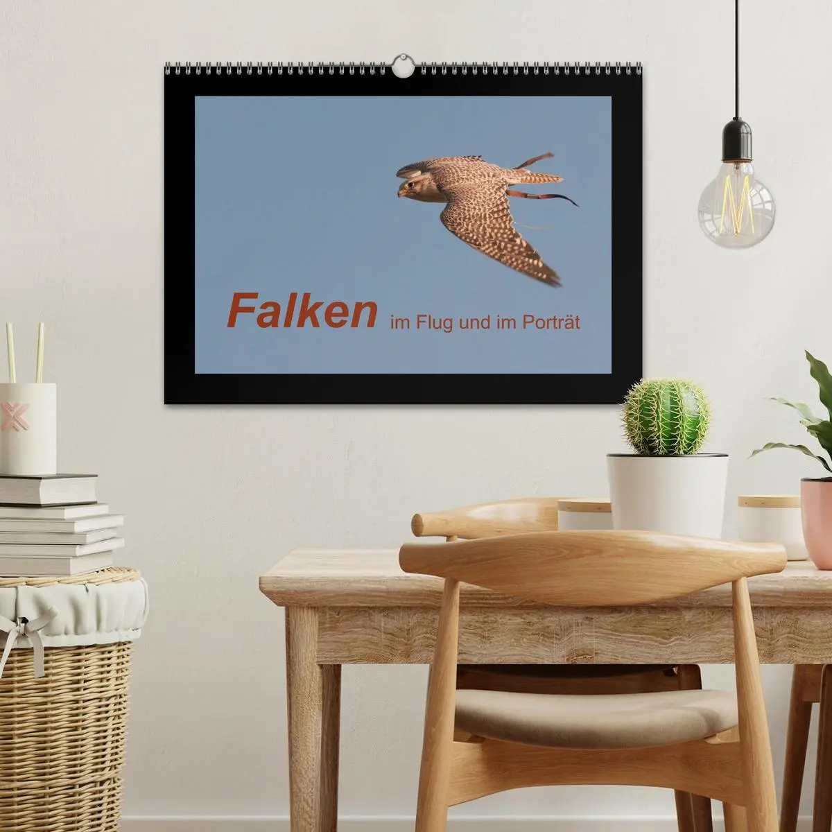 Bild: 9783516215199 | Falken im Flug und im Porträt (Wandkalender 2026 DIN A3 quer),...