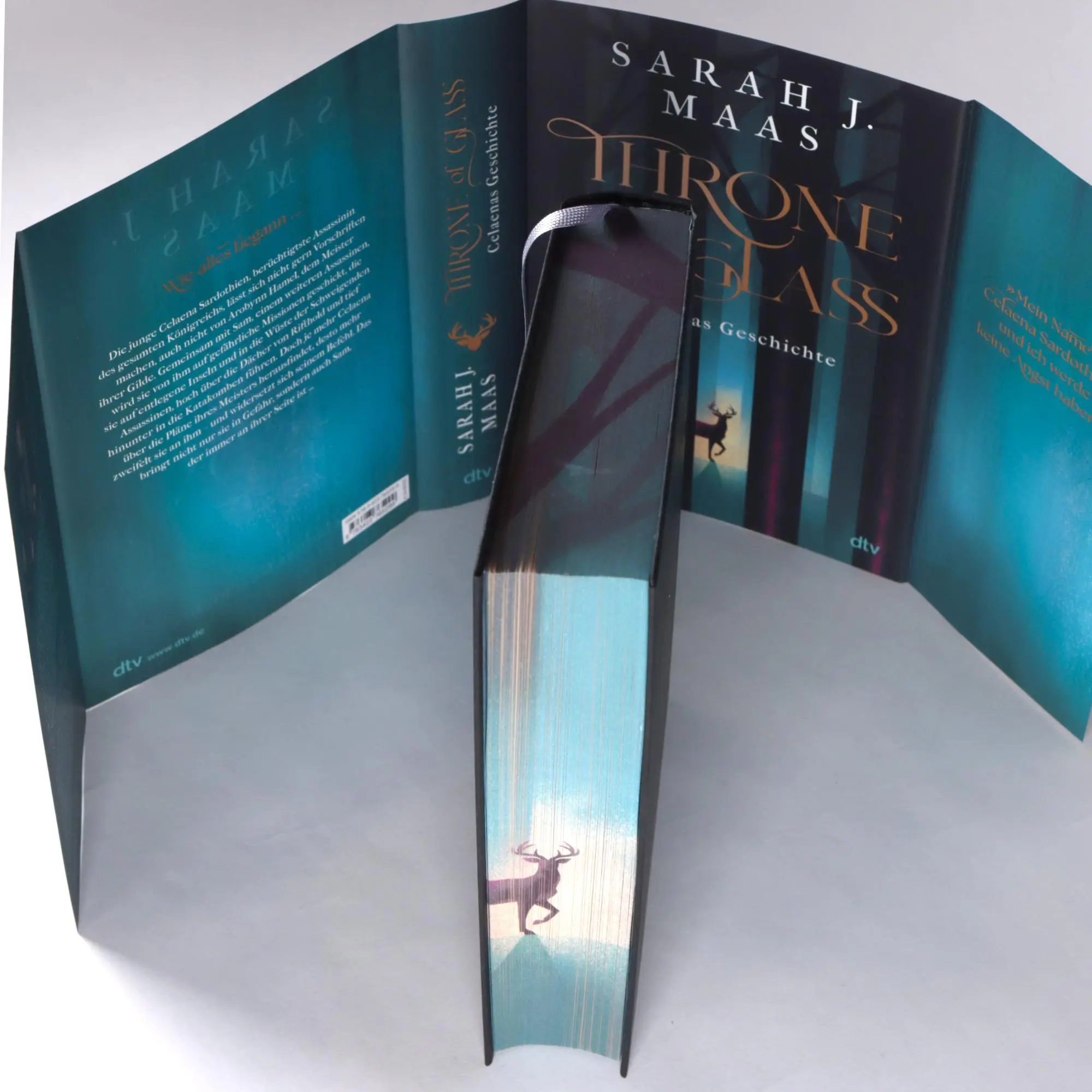 Bild: 9783423765299 | Throne of Glass - Celaenas Geschichte | Sarah J. Maas | Buch | 480 S.