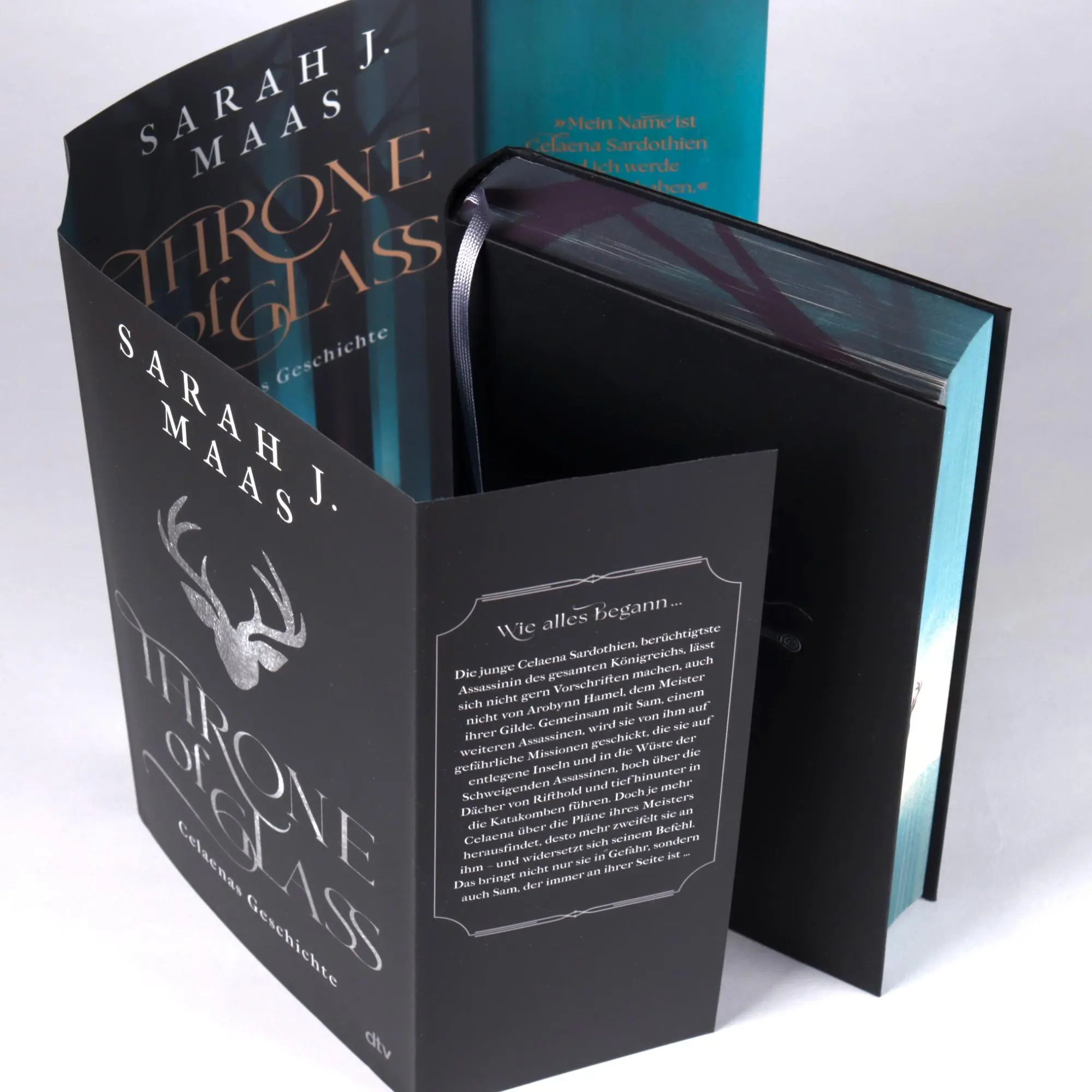 Bild: 9783423765299 | Throne of Glass - Celaenas Geschichte | Sarah J. Maas | Buch | 480 S.
