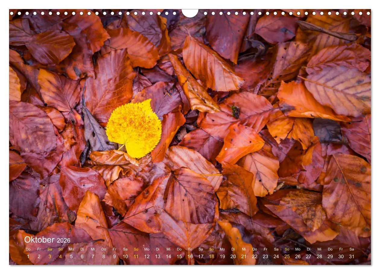 Bild: 9783457595299 | Landschaften und Natur 2026 (Wandkalender 2026 DIN A3 quer),...