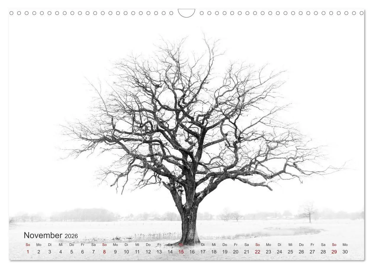 Bild: 9783457595299 | Landschaften und Natur 2026 (Wandkalender 2026 DIN A3 quer),...