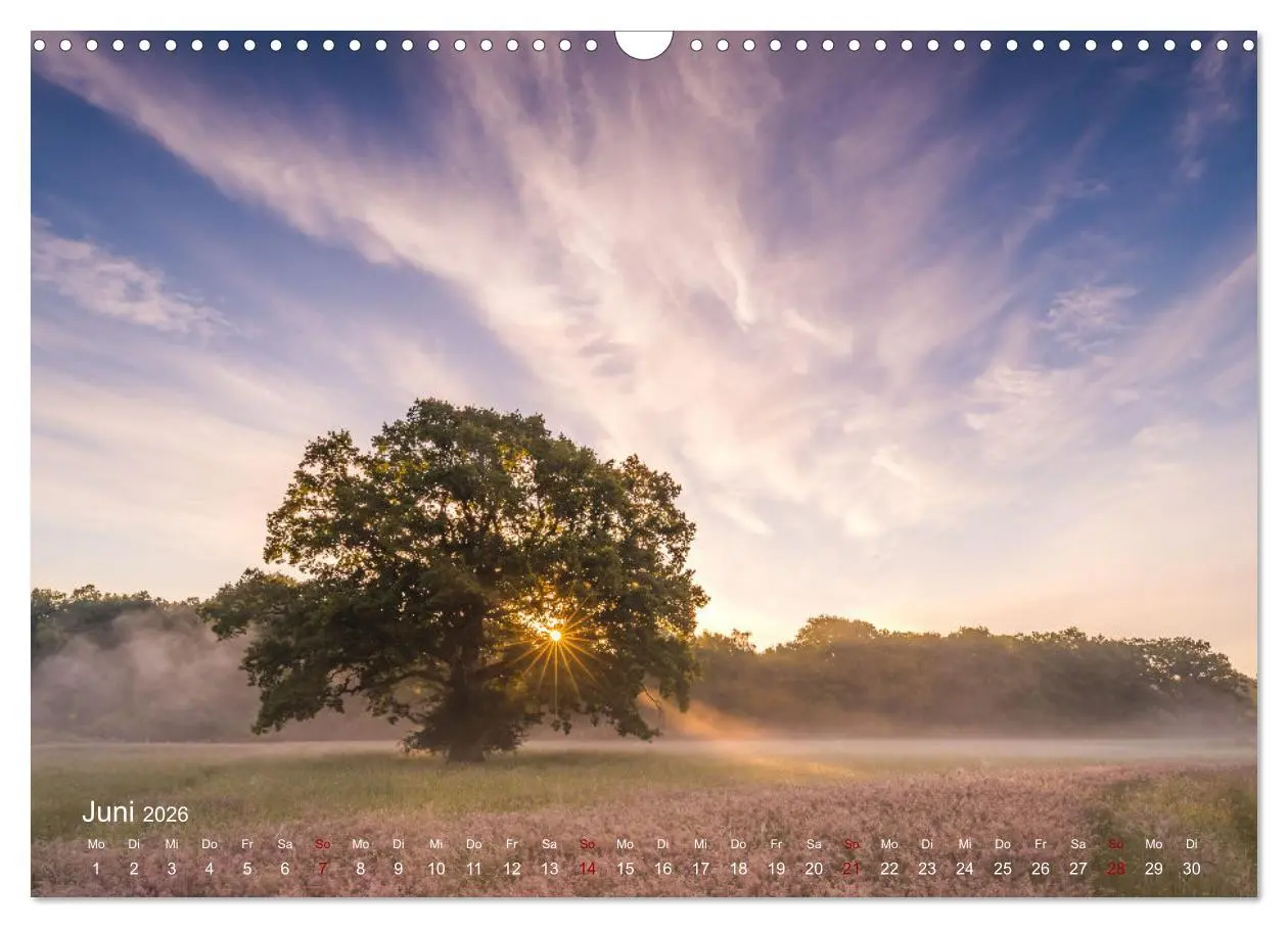 Bild: 9783457595299 | Landschaften und Natur 2026 (Wandkalender 2026 DIN A3 quer),...