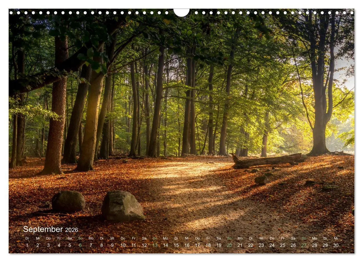Bild: 9783457595299 | Landschaften und Natur 2026 (Wandkalender 2026 DIN A3 quer),...