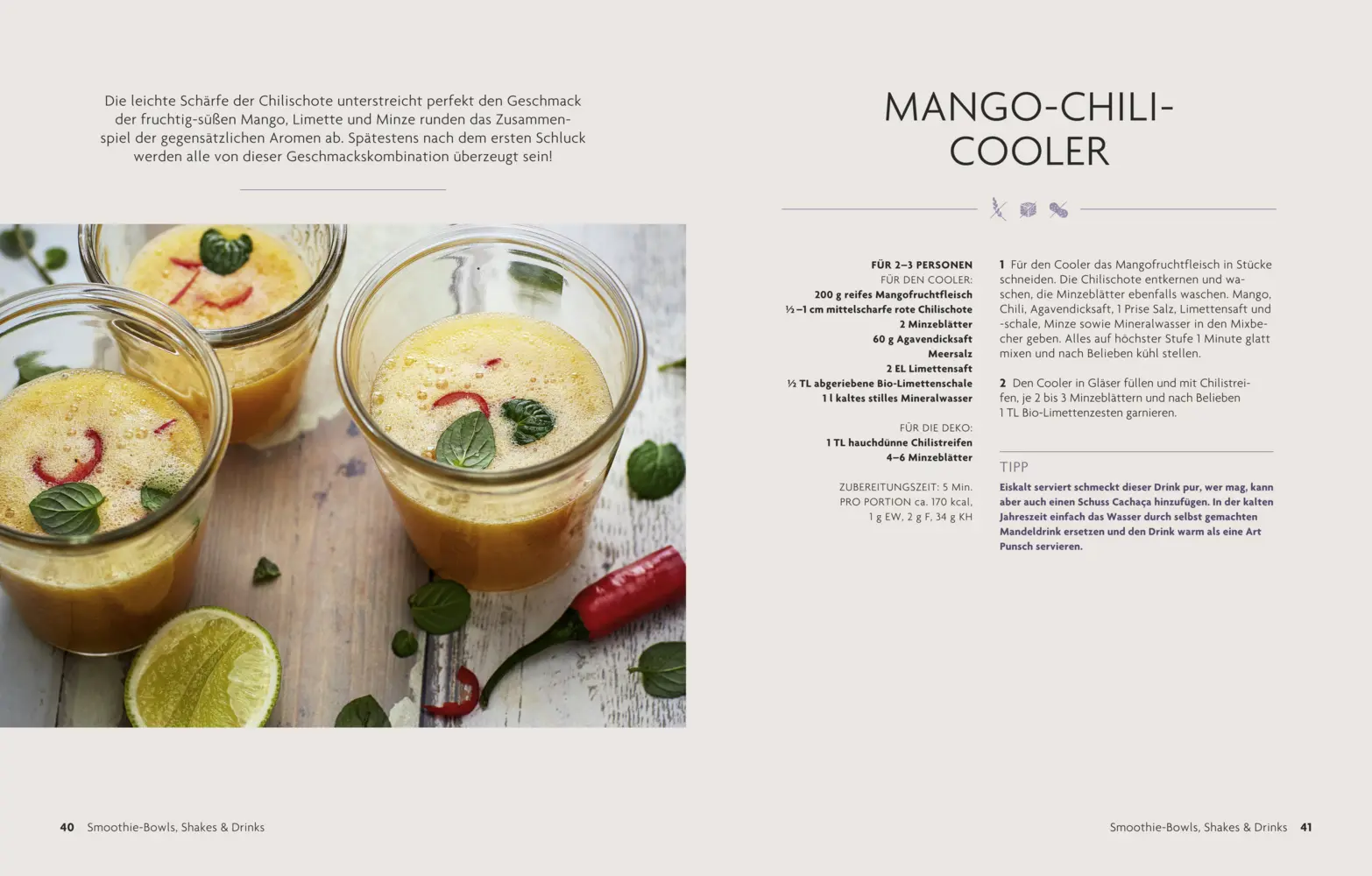 Bild: 9783898835299 | Fit-Mix | Vegane Blitzrezepte aus dem Mixer | Sebastian Copien | Buch