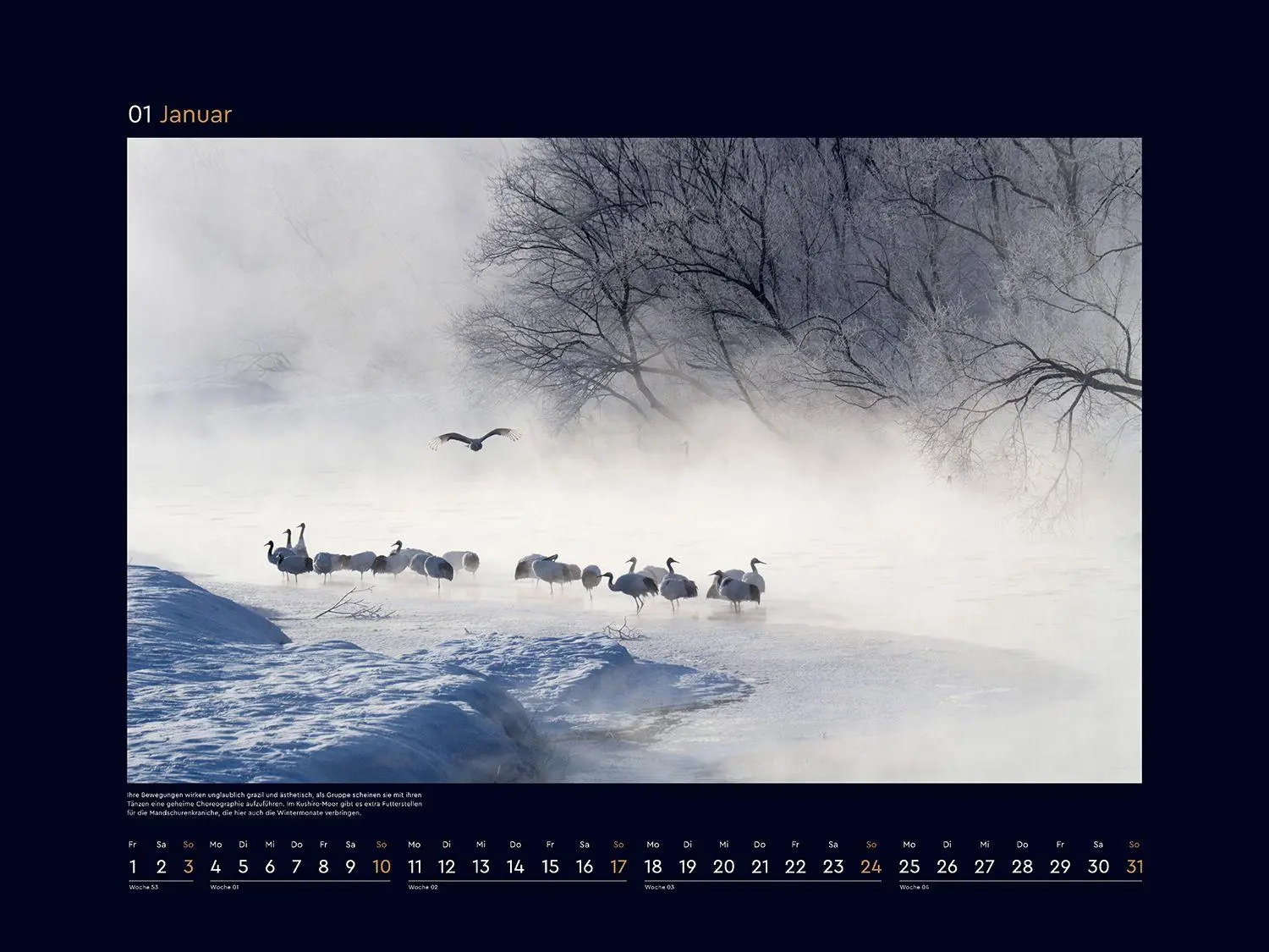 Bild: 9783965915299 | Japan - KUNTH Wandkalender 2027 | Kalender | 14 S. | Deutsch | 2027