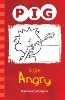 Cover: 9781781275399 | PIG Gets Angry | Catchpole Barbara | Taschenbuch | Englisch | 2019