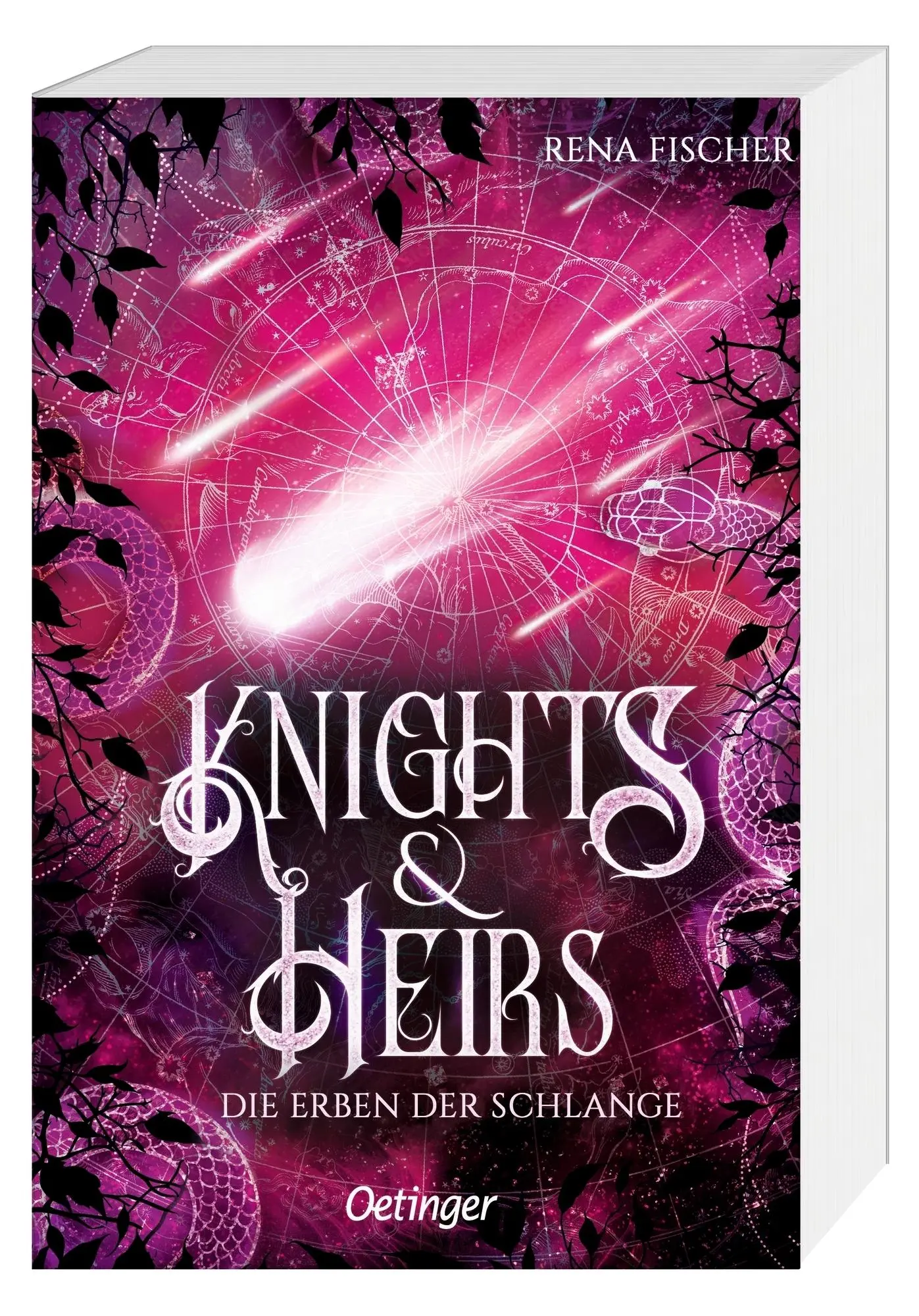 Cover: 9783751205399 | Knights &amp; Heirs 2. Die Erben der Schlange | Rena Fischer | Taschenbuch