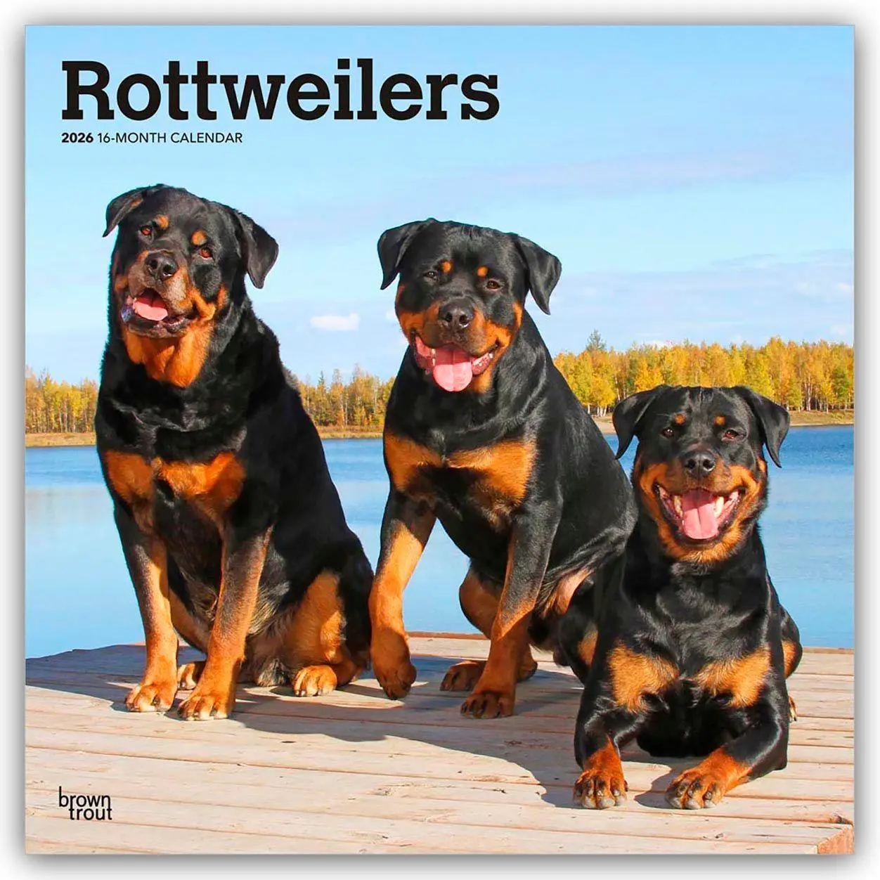 Cover: 9798330705399 | Rottweilers - Rottweiler 2026 - 16-Monatskalender | Publishers | 2026