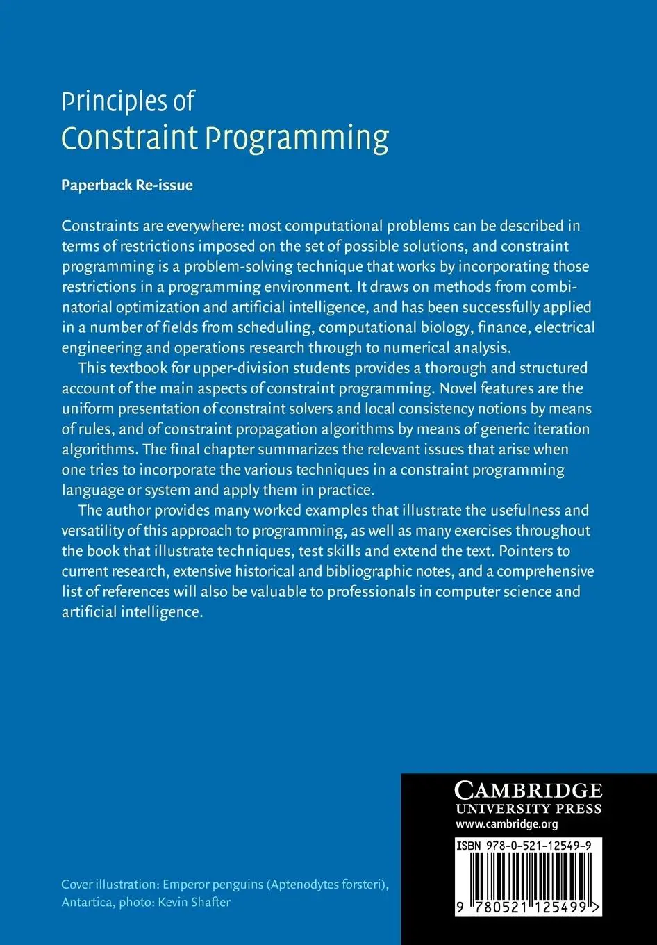 Rückseite: 9780521125499 | Principles of Constraint Programming | Krzysztof Apt | Taschenbuch