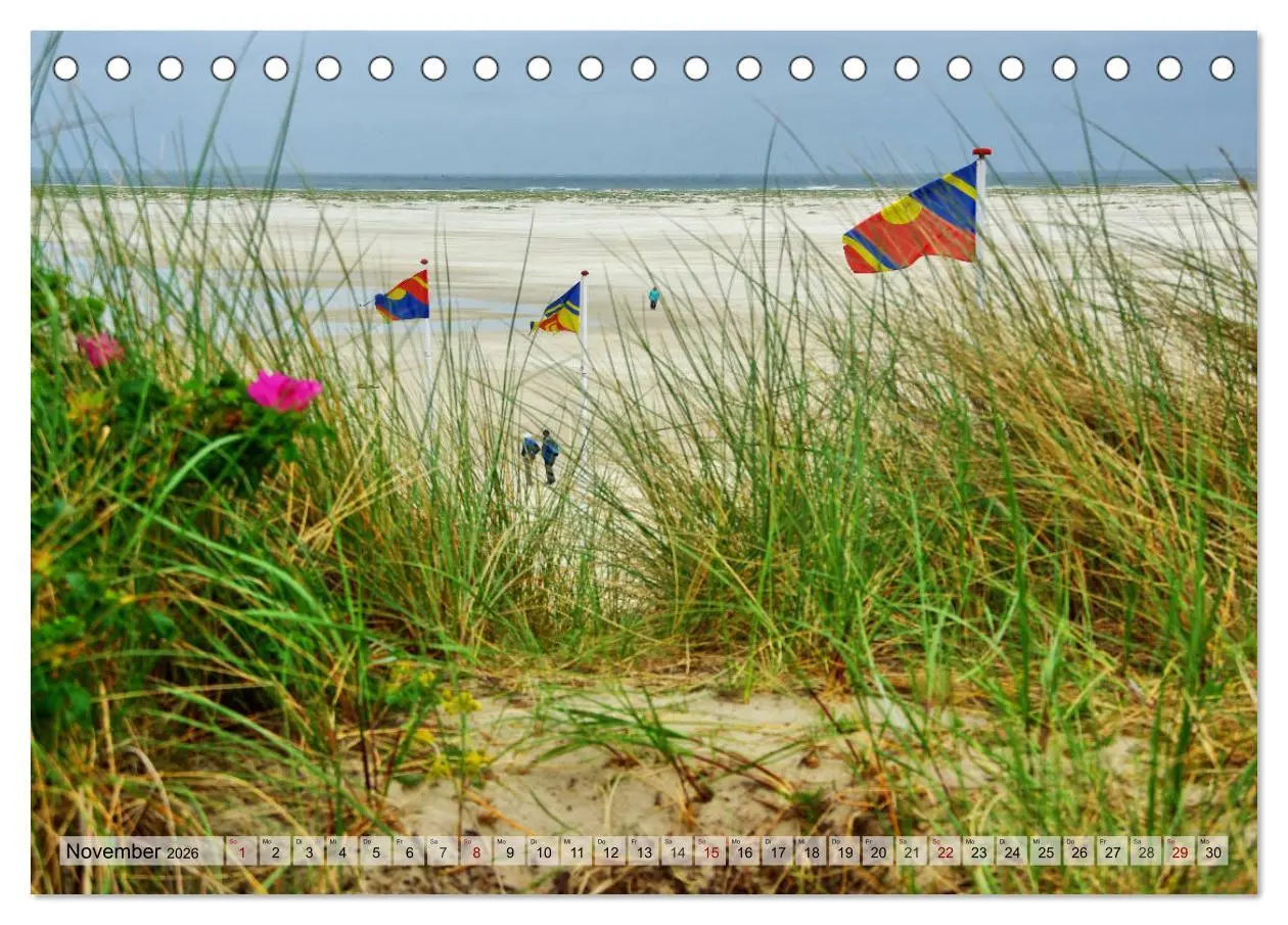 Bild: 9783457885499 | Typisch Amrum! (Tischkalender 2026 DIN A5 quer), CALVENDO...