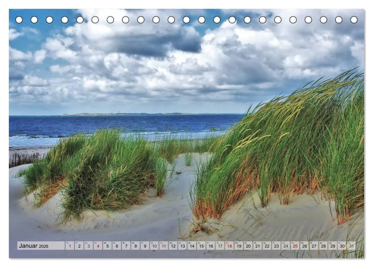 Bild: 9783457885499 | Typisch Amrum! (Tischkalender 2026 DIN A5 quer), CALVENDO...