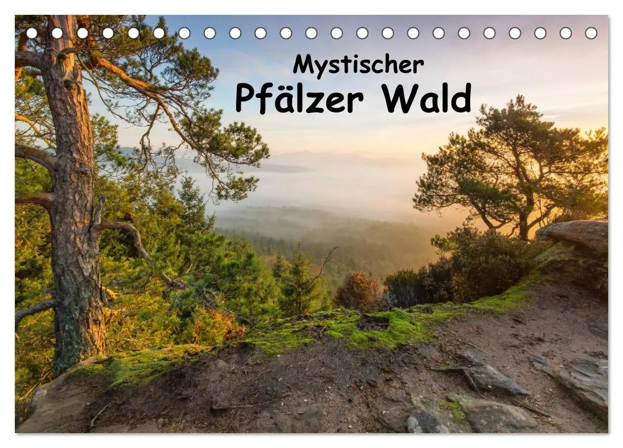 Cover: 9783516045499 | Mystischer Pfälzer Wald (Tischkalender 2026 DIN A5 quer), CALVENDO...