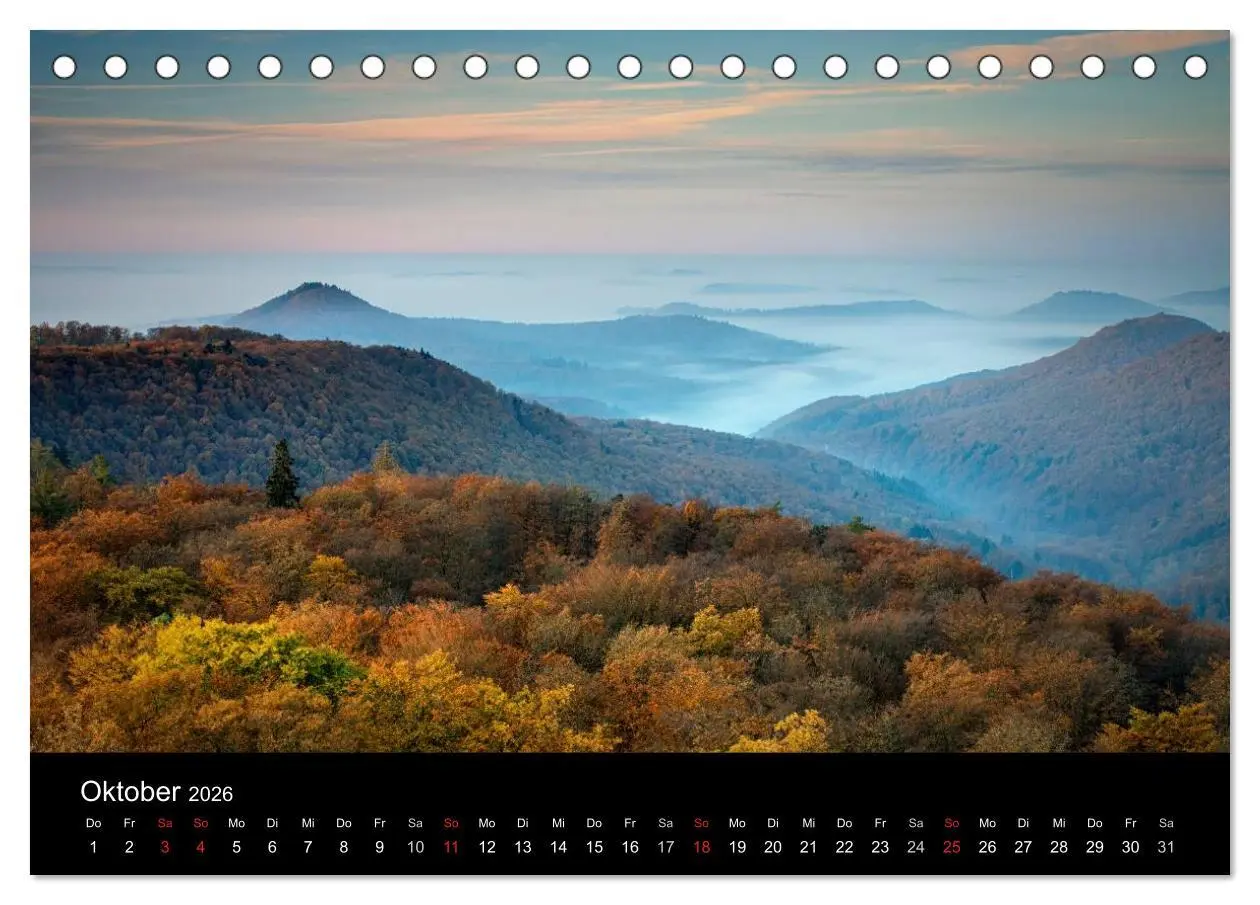 Bild: 9783516045499 | Mystischer Pfälzer Wald (Tischkalender 2026 DIN A5 quer), CALVENDO...