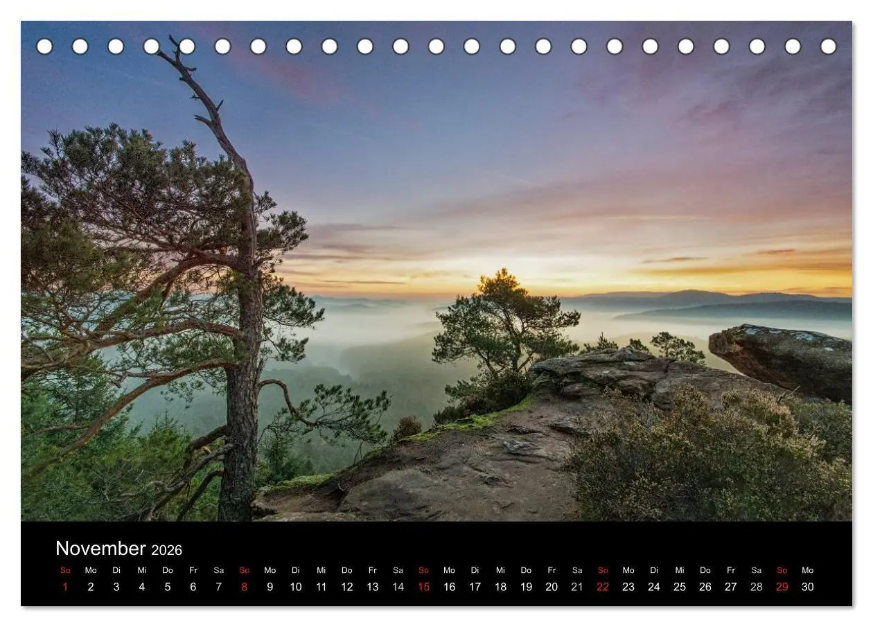 Bild: 9783516045499 | Mystischer Pfälzer Wald (Tischkalender 2026 DIN A5 quer), CALVENDO...