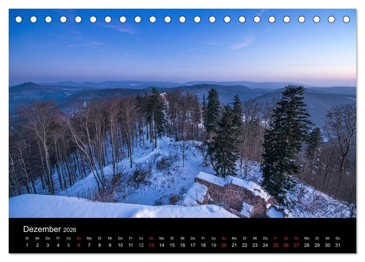 Bild: 9783516045499 | Mystischer Pfälzer Wald (Tischkalender 2026 DIN A5 quer), CALVENDO...