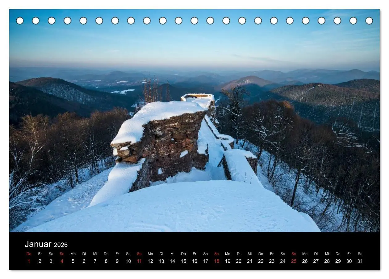 Bild: 9783516045499 | Mystischer Pfälzer Wald (Tischkalender 2026 DIN A5 quer), CALVENDO...