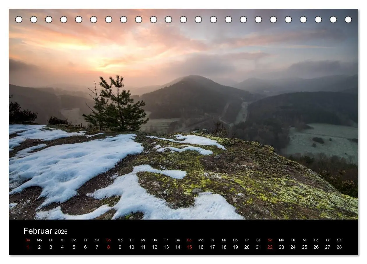 Bild: 9783516045499 | Mystischer Pfälzer Wald (Tischkalender 2026 DIN A5 quer), CALVENDO...