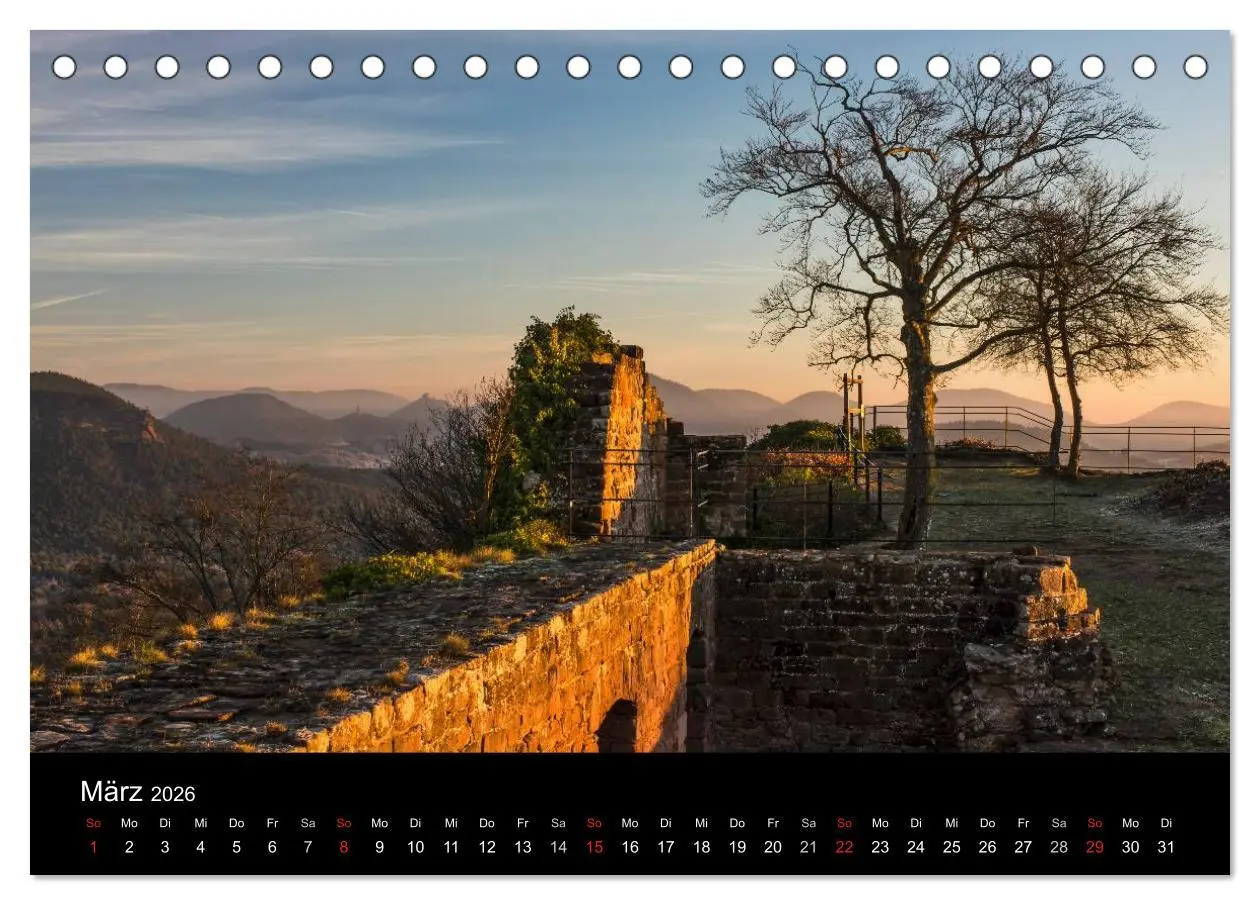 Bild: 9783516045499 | Mystischer Pfälzer Wald (Tischkalender 2026 DIN A5 quer), CALVENDO...