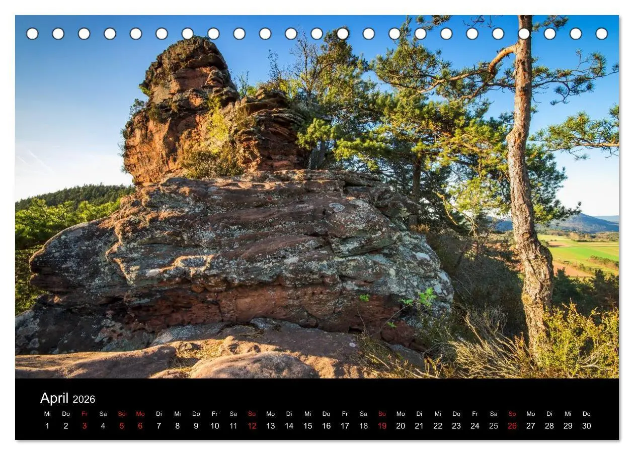 Bild: 9783516045499 | Mystischer Pfälzer Wald (Tischkalender 2026 DIN A5 quer), CALVENDO...