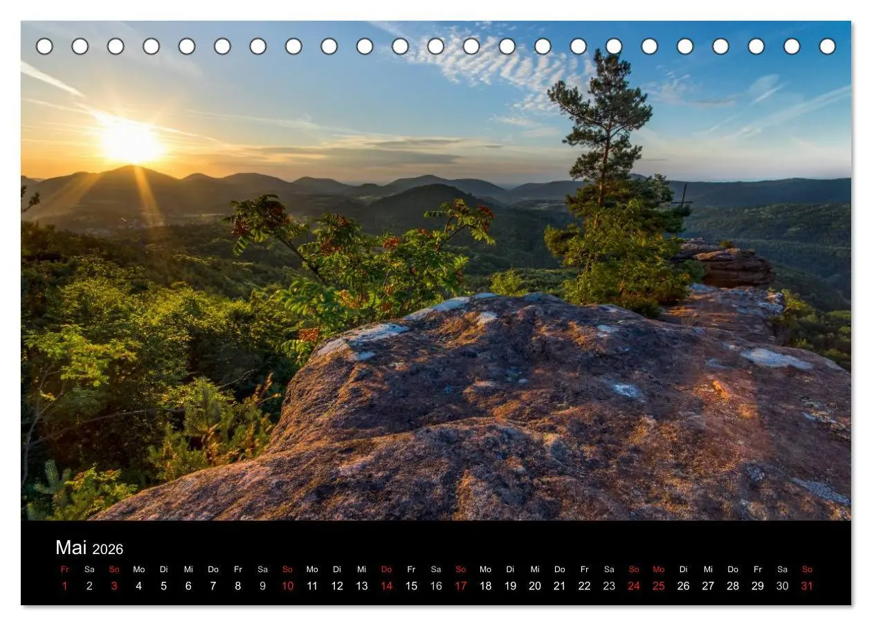 Bild: 9783516045499 | Mystischer Pfälzer Wald (Tischkalender 2026 DIN A5 quer), CALVENDO...