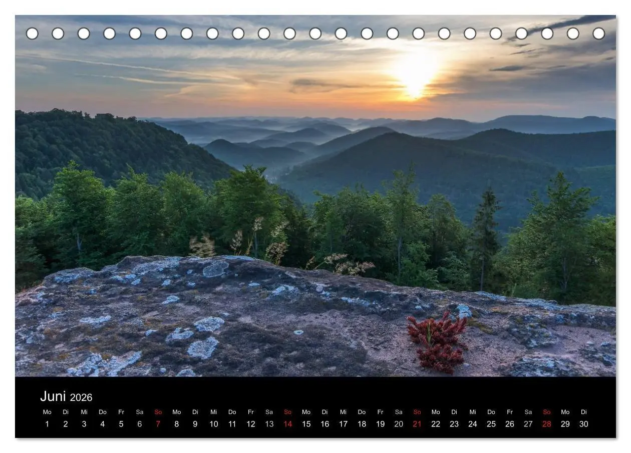 Bild: 9783516045499 | Mystischer Pfälzer Wald (Tischkalender 2026 DIN A5 quer), CALVENDO...