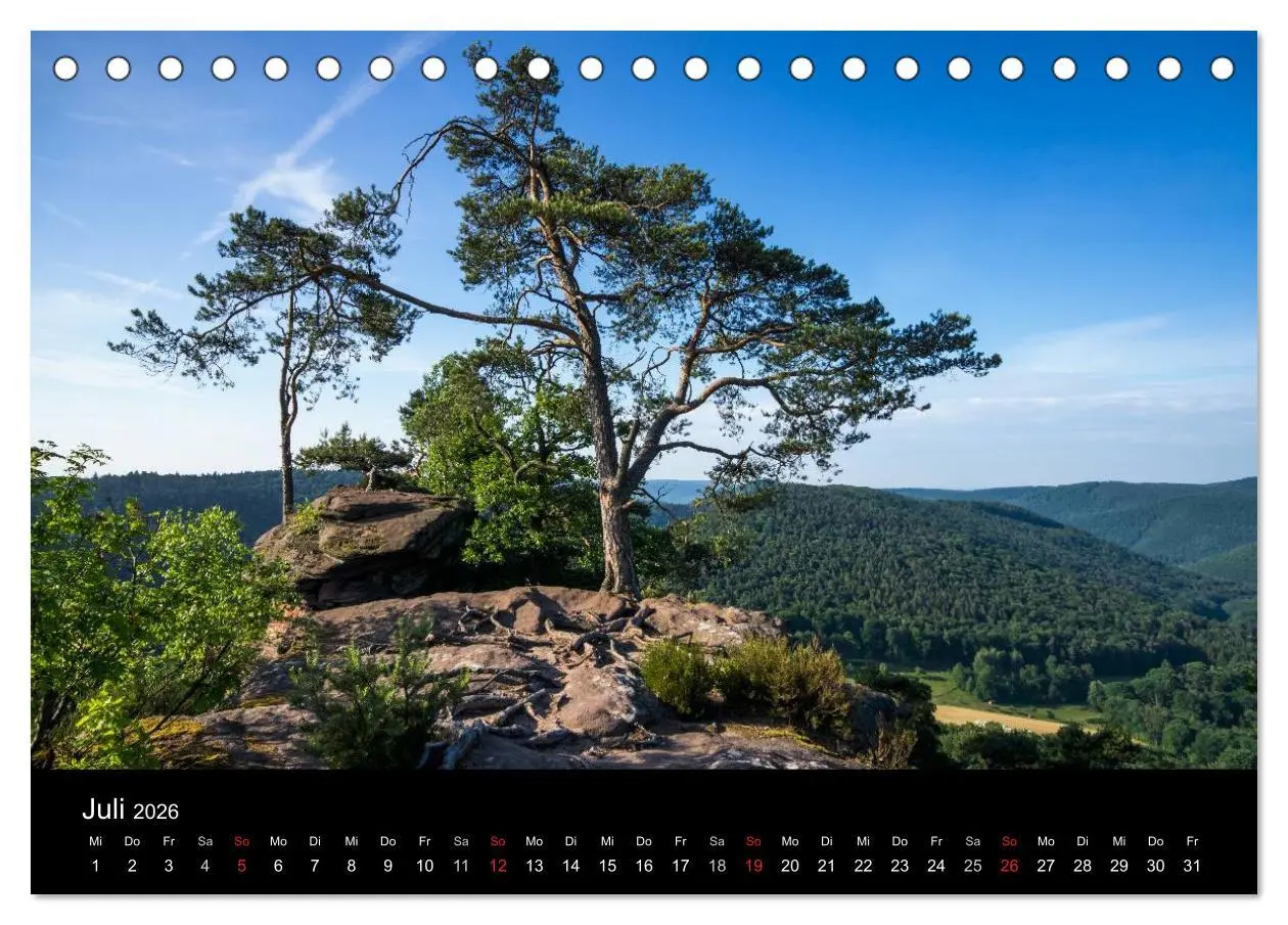Bild: 9783516045499 | Mystischer Pfälzer Wald (Tischkalender 2026 DIN A5 quer), CALVENDO...