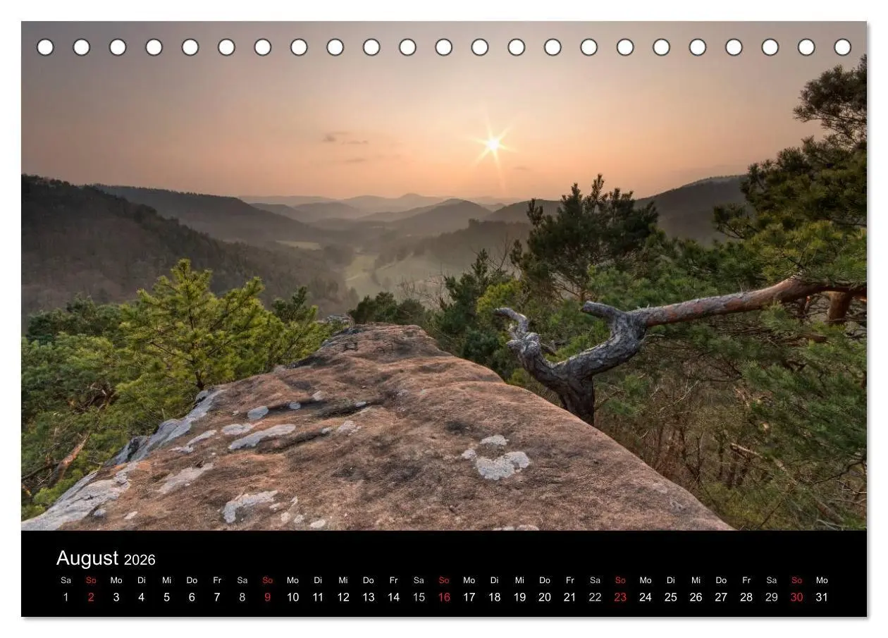 Bild: 9783516045499 | Mystischer Pfälzer Wald (Tischkalender 2026 DIN A5 quer), CALVENDO...