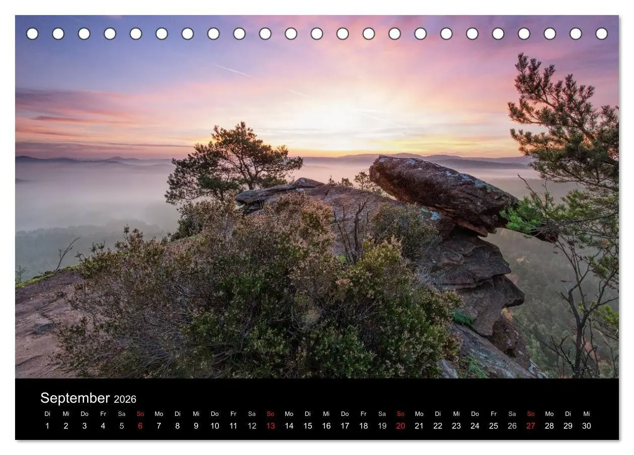 Bild: 9783516045499 | Mystischer Pfälzer Wald (Tischkalender 2026 DIN A5 quer), CALVENDO...
