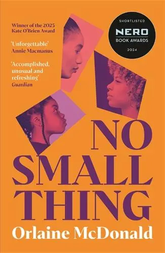 Cover: 9781800815599 | No Small Thing | Orlaine McDonald | Taschenbuch | Englisch | 2025