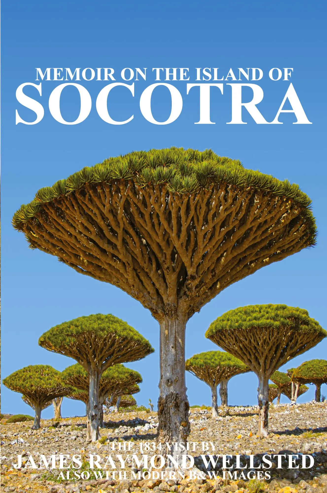 Cover: 9781838075699 | SOCOTRA | Memoir on the Island of Socotra | James Wellsted | Buch