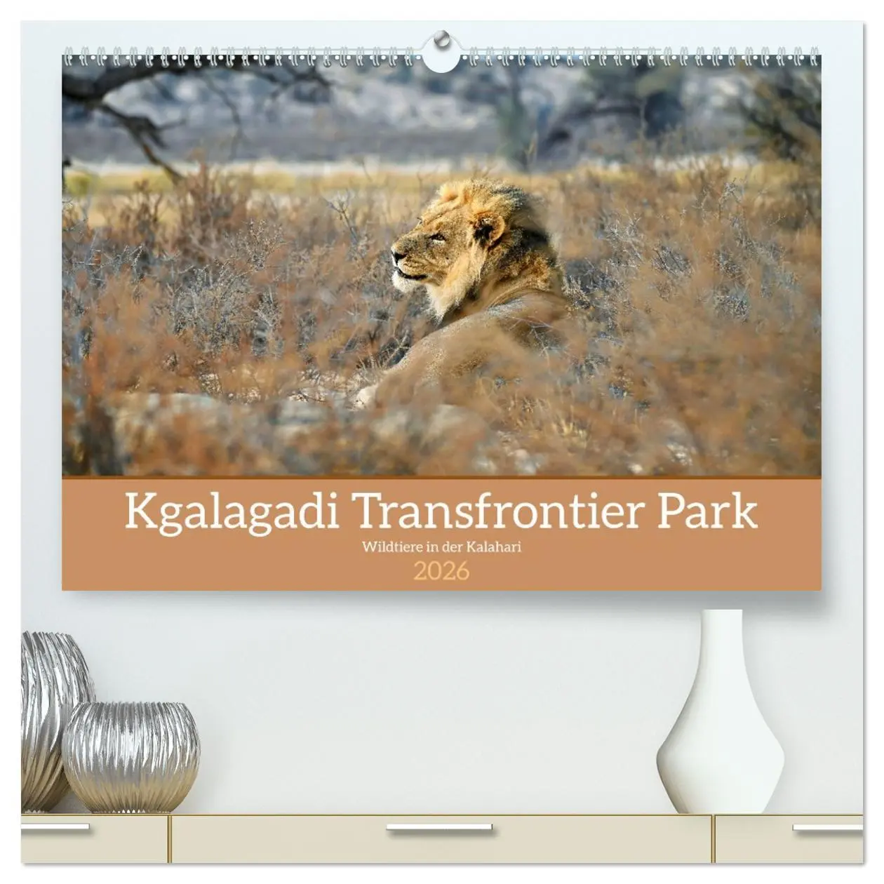 Cover: 9783457485699 | Kgalagadi - Fauna und Wildtiere in der Kalahari (hochwertiger...