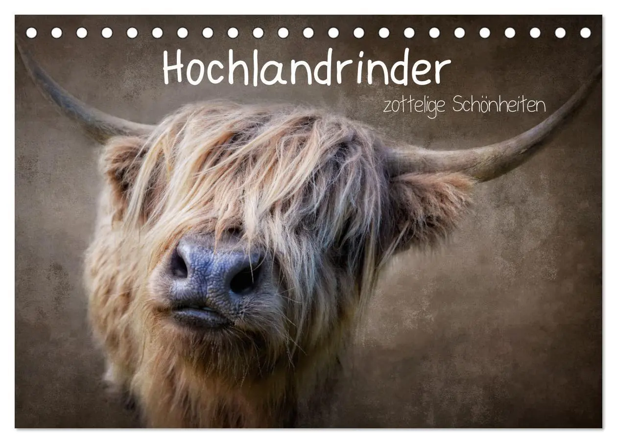 Cover: 9783457625699 | Hochlandrinder - Zottelige Schönheiten (Tischkalender 2026 DIN A5...