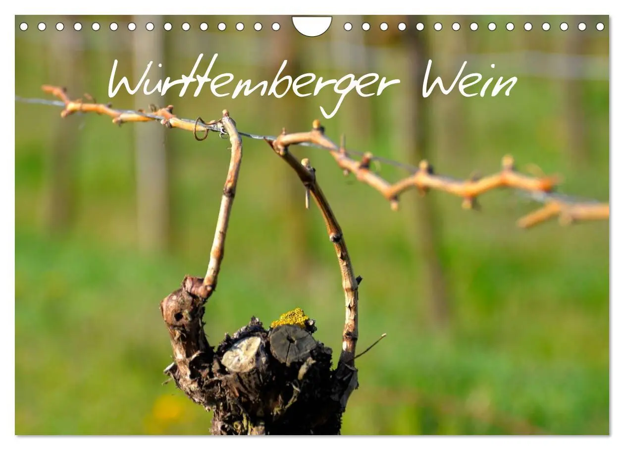 Cover: 9783516195699 | Württemberger Wein 2026 (Wandkalender 2026 DIN A4 quer), CALVENDO...