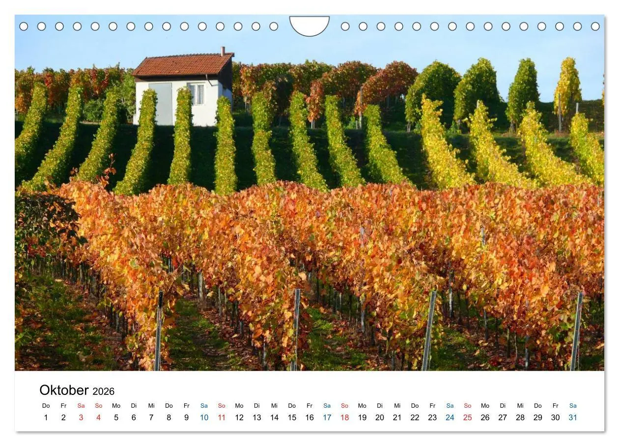 Bild: 9783516195699 | Württemberger Wein 2026 (Wandkalender 2026 DIN A4 quer), CALVENDO...