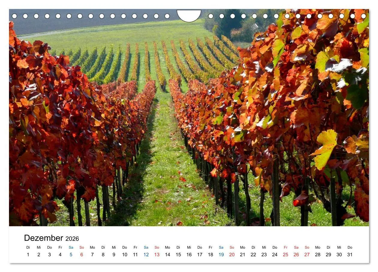 Bild: 9783516195699 | Württemberger Wein 2026 (Wandkalender 2026 DIN A4 quer), CALVENDO...