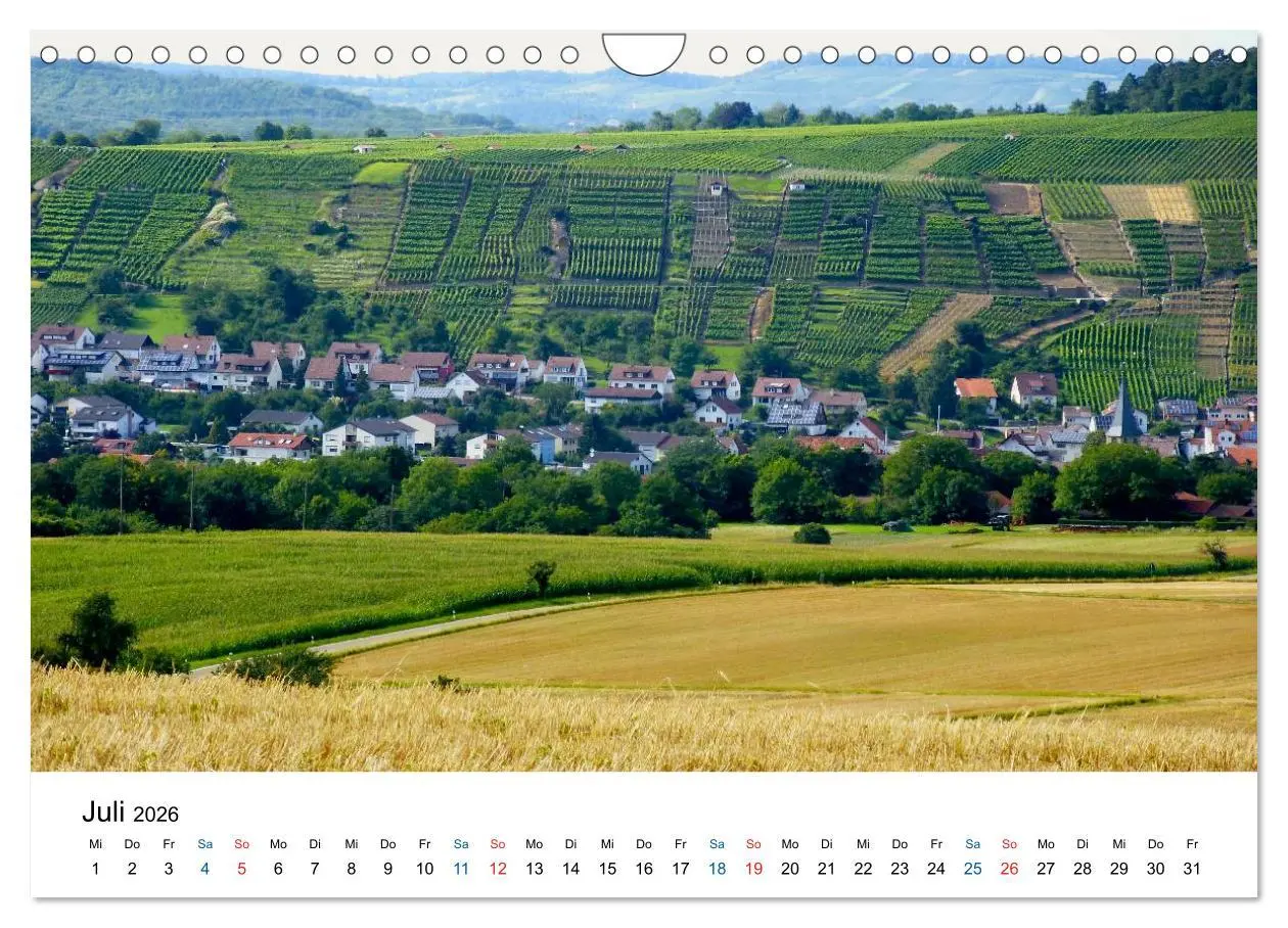 Bild: 9783516195699 | Württemberger Wein 2026 (Wandkalender 2026 DIN A4 quer), CALVENDO...