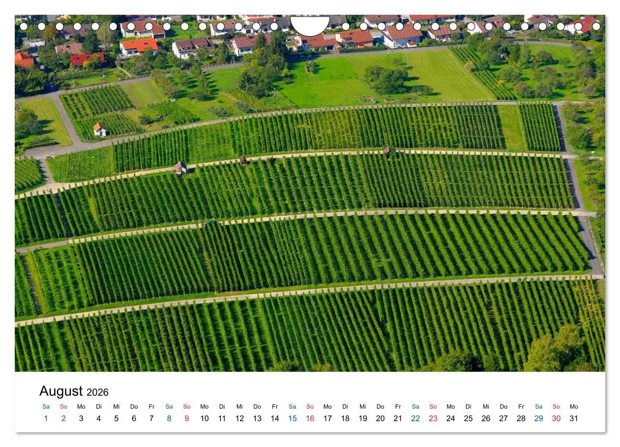 Bild: 9783516195699 | Württemberger Wein 2026 (Wandkalender 2026 DIN A4 quer), CALVENDO...