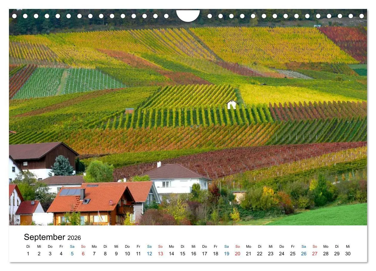 Bild: 9783516195699 | Württemberger Wein 2026 (Wandkalender 2026 DIN A4 quer), CALVENDO...