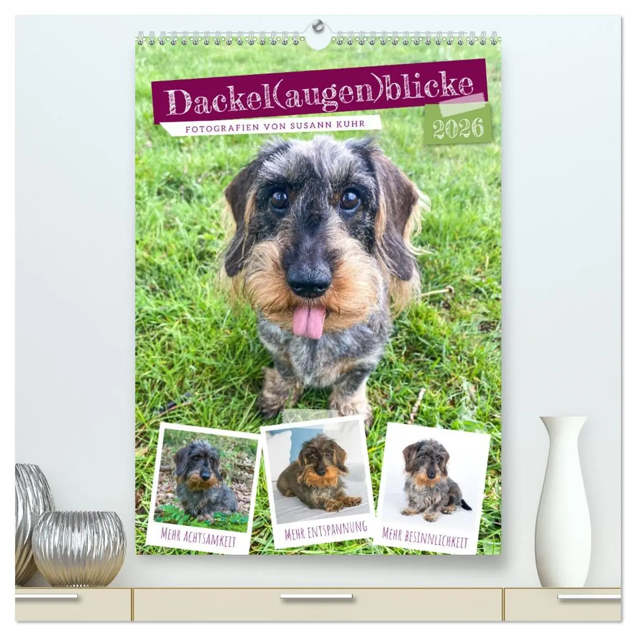 Cover: 9783516335699 | Dackel(augen)blicke (hochwertiger Premium Wandkalender 2026 DIN A2...