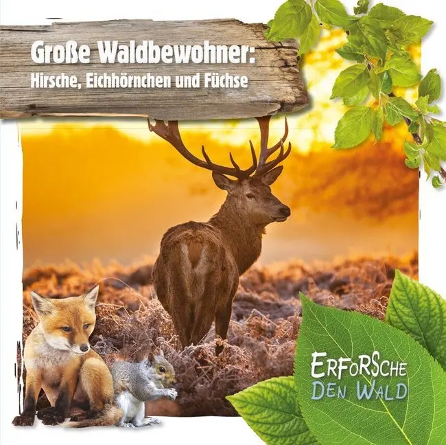 Cover: 9789463415699 | Große Waldbewohner: Hirsche, Eichhörnchen und Füchse | Robin Twiddy