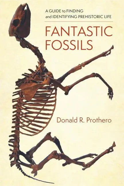 Cover: 9780231195799 | Fantastic Fossils | Donald R. Prothero | Taschenbuch | Englisch | 2022